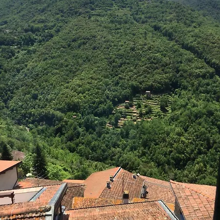 House In The Medieval Village