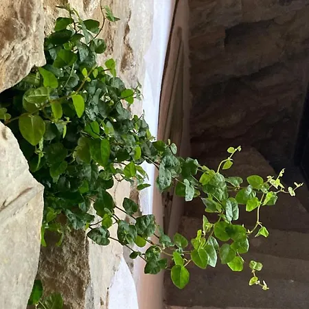 Dom wakacyjny House In The Medieval Village Apricale