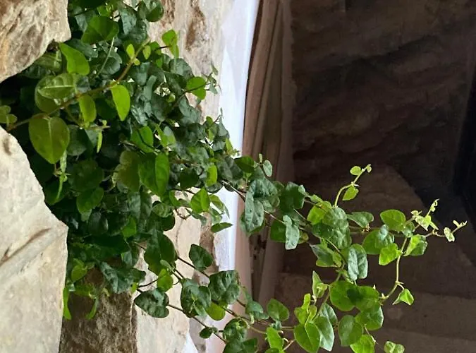 Semesterbostad House In The Medieval Village Apricale
