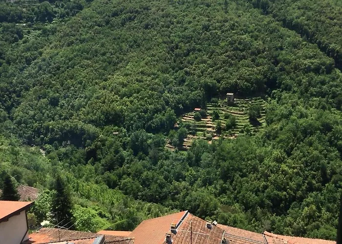 House In The Medieval Village